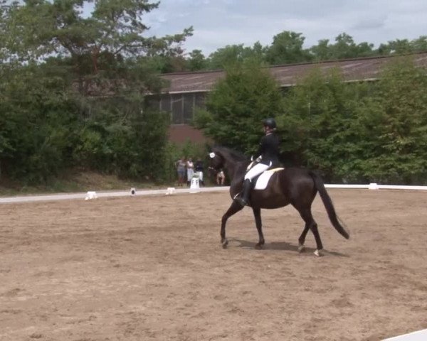Reitturnier Kleinostheim/Ufr. 2019