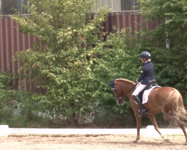 Reitturnier Kleinostheim/Ufr. 2019