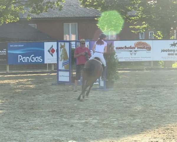 Reitturnier Dagmersellen 2019