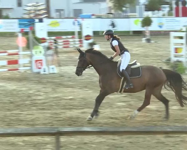 Reitturnier Dagmersellen 2019