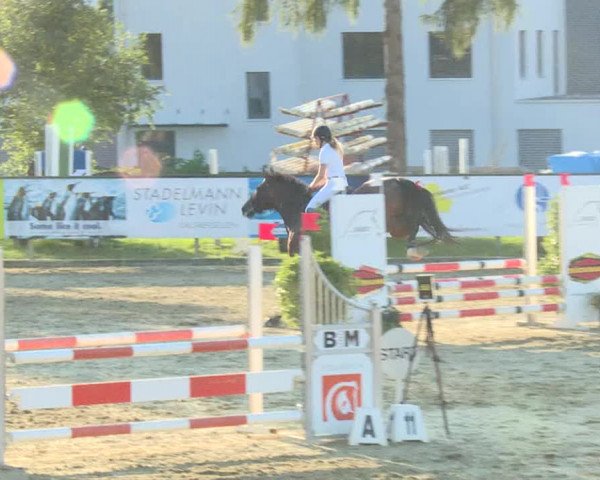 Reitturnier Dagmersellen 2019