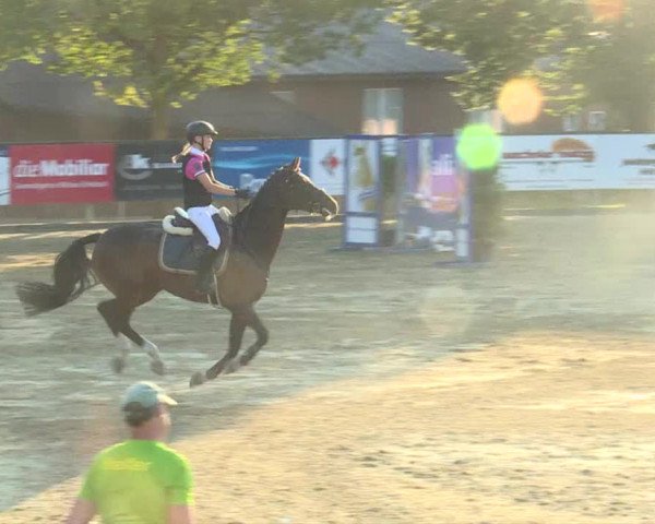 Reitturnier Dagmersellen 2019