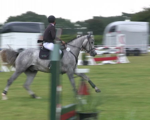 Reitturnier Heide 2019