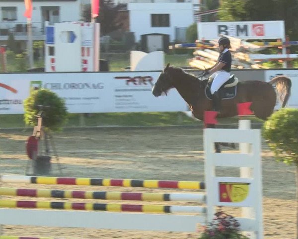 Reitturnier Dagmersellen 2019