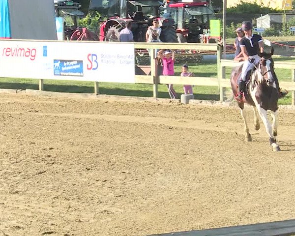 Reitturnier Dagmersellen 2019