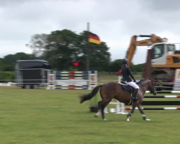 Reitturnier Heide 2019