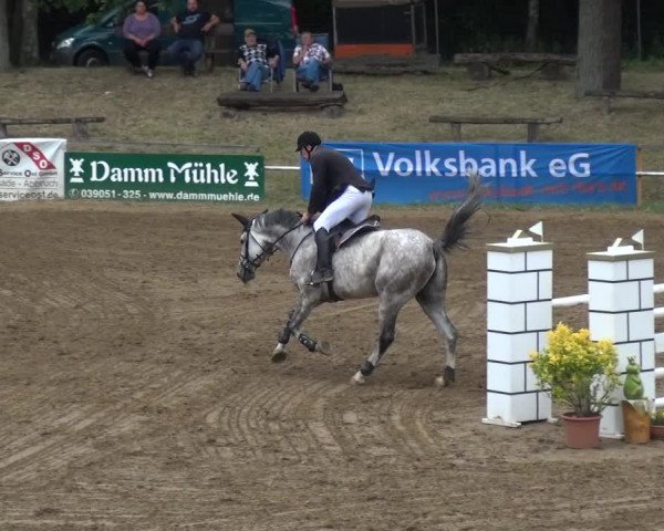 Reitturnier CSN Calvörde 2019