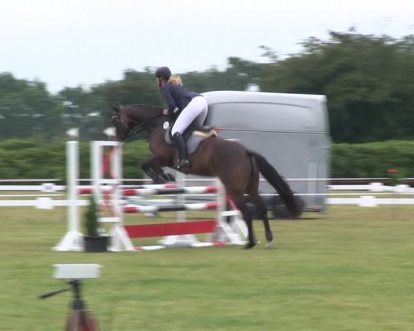 Reitturnier Heide 2019