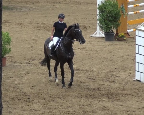 Reitturnier CSN Calvörde 2019