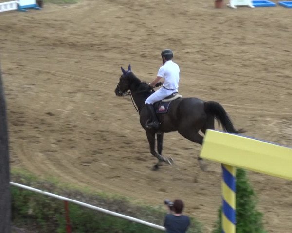 Reitturnier CSN Calvörde 2019