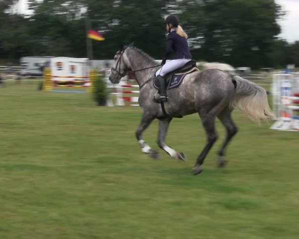 Reitturnier Heide 2019