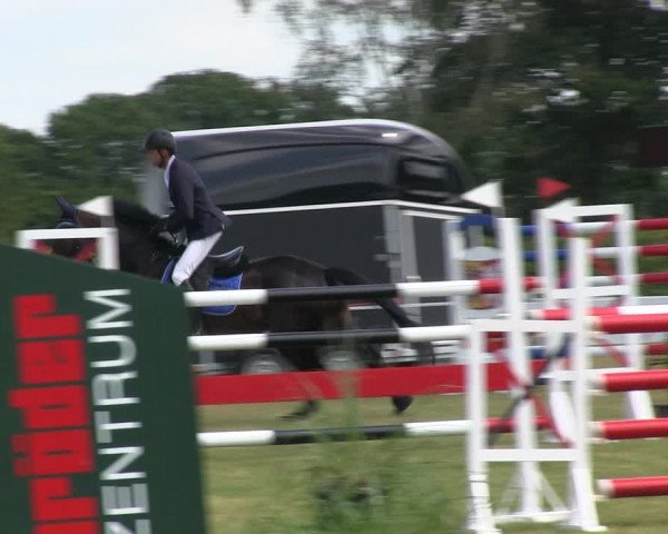 Reitturnier Heide 2019