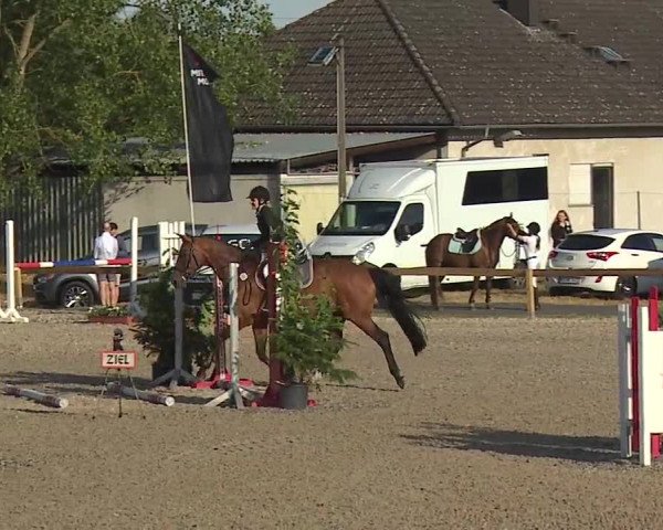 Reitturnier Kleinostheim/Ufr. 2019