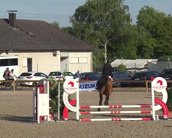 Reitturnier Kleinostheim/Ufr. 2019