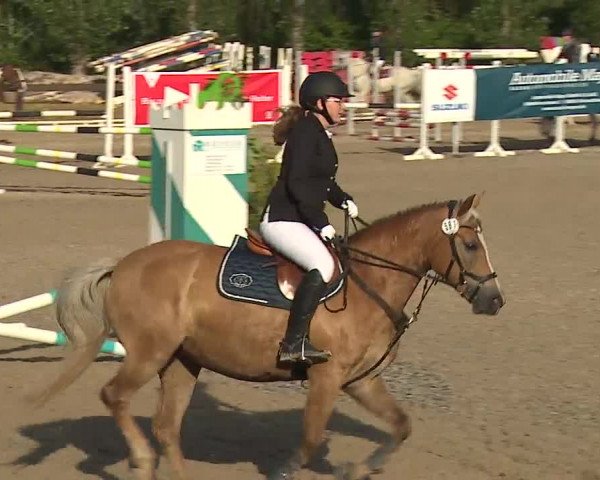 Reitturnier Kleinostheim/Ufr. 2019