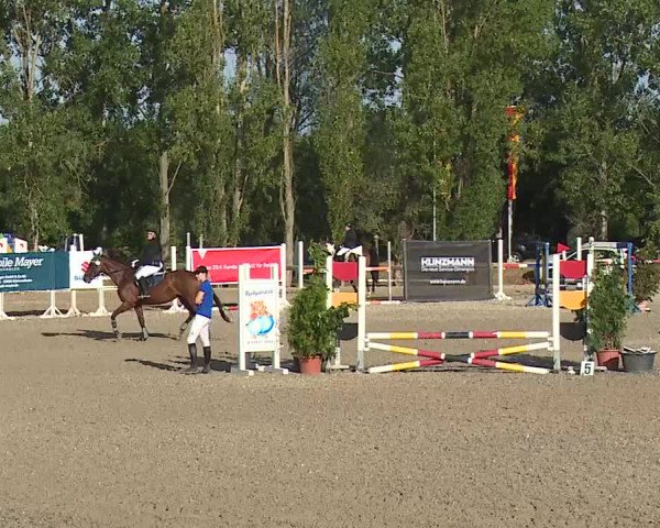 Reitturnier Kleinostheim/Ufr. 2019