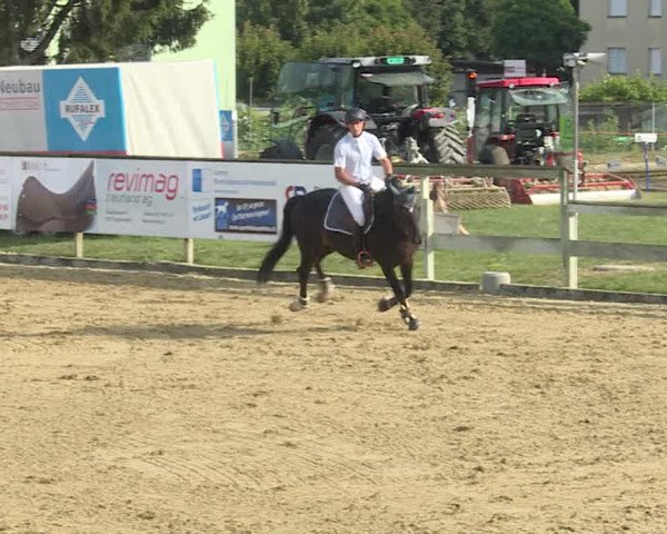 Reitturnier Dagmersellen 2019