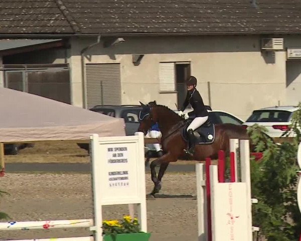 Reitturnier Kleinostheim/Ufr. 2019