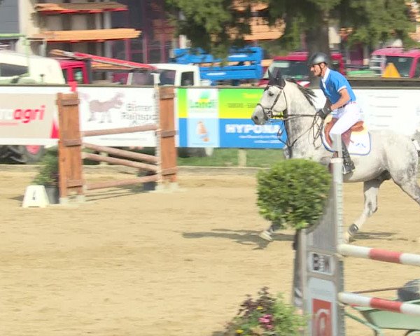 Reitturnier Dagmersellen 2019