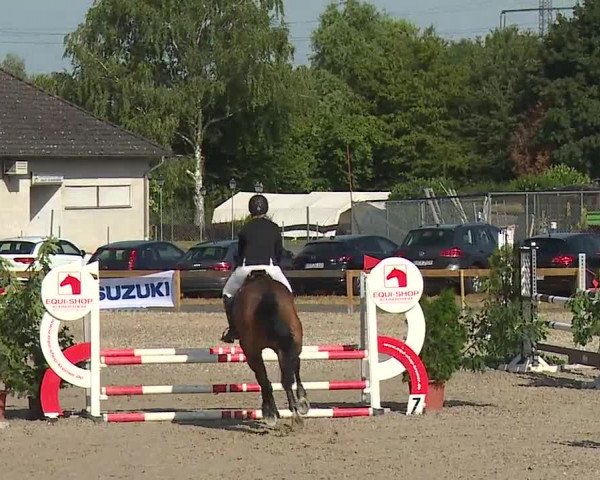 Reitturnier Kleinostheim/Ufr. 2019