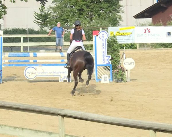 Reitturnier Dagmersellen 2019