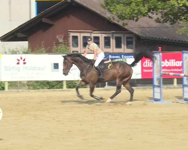 Reitturnier Dagmersellen 2019