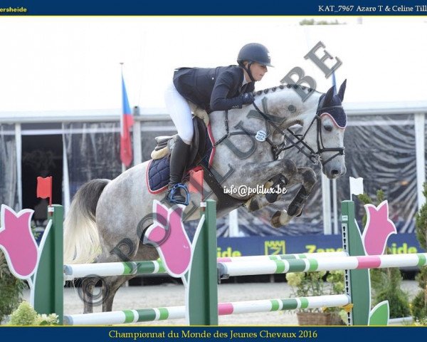 jumper Azaro T (Rhinelander, 2009, from Acorado's Ass)