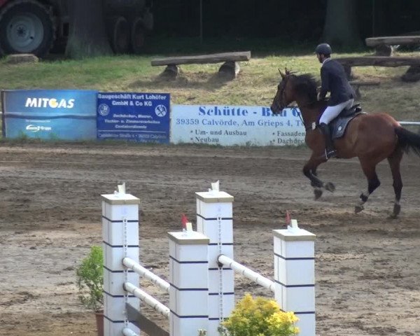 Reitturnier CSN Calvörde 2019
