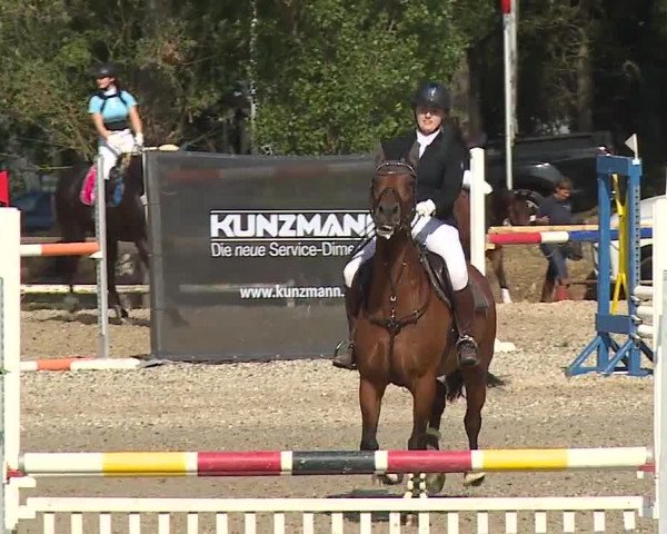 Reitturnier Kleinostheim/Ufr. 2019