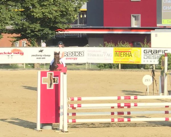 Reitturnier Dagmersellen 2019