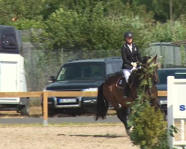 Reitturnier Kleinostheim/Ufr. 2019