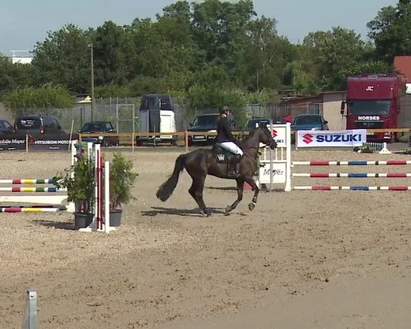 Reitturnier Kleinostheim/Ufr. 2019