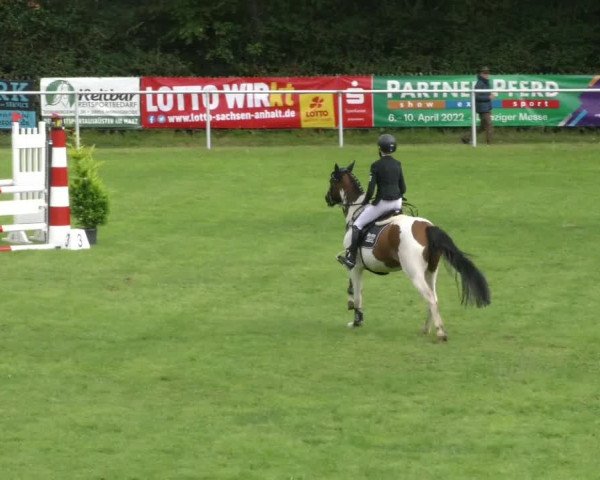 Reitturnier Wernigerode 2021