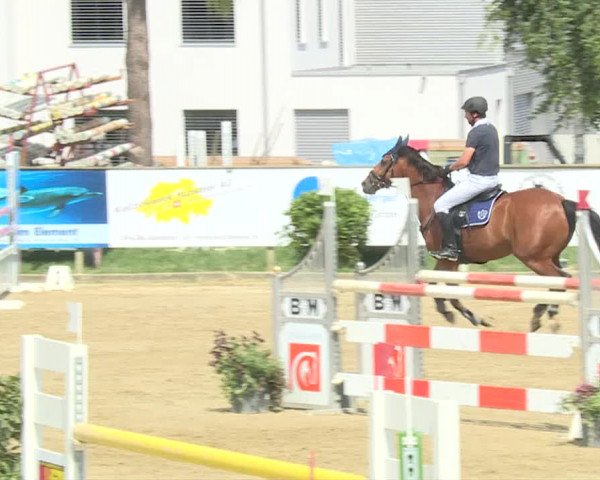 Reitturnier Dagmersellen 2019