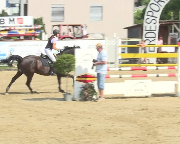 Reitturnier Dagmersellen 2019