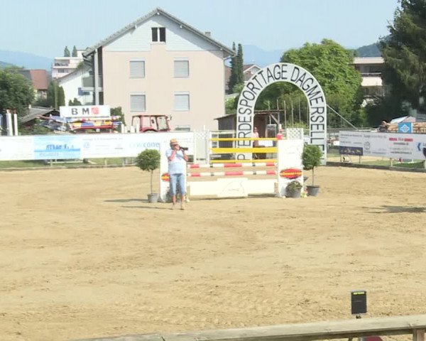 Reitturnier Dagmersellen 2019