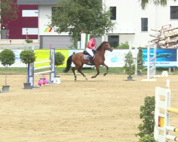 Reitturnier Dagmersellen 2019