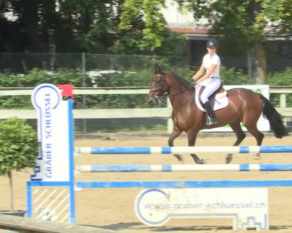 Reitturnier Dagmersellen 2019
