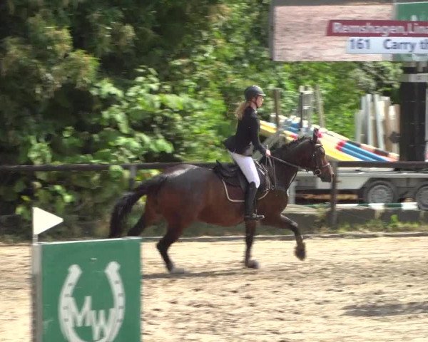 Reitturnier Marienheide-Kempershöhe 2019