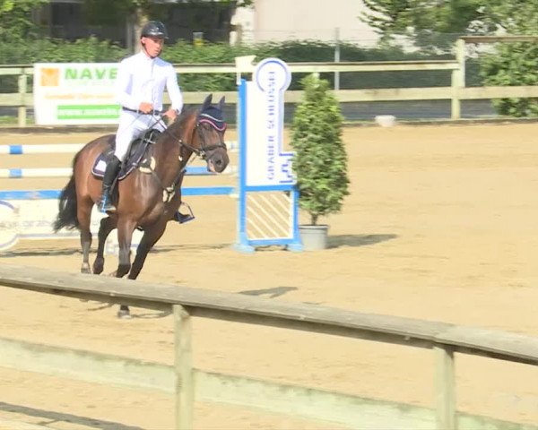Reitturnier Dagmersellen 2019