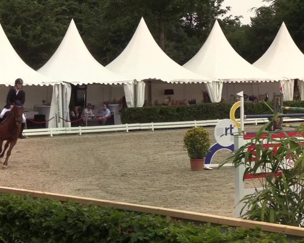 Reitturnier Hörup 2019