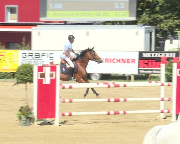 Reitturnier Dagmersellen 2019