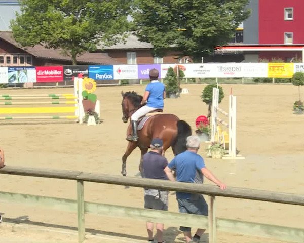 Reitturnier Dagmersellen 2019