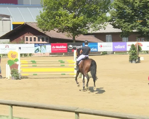 Reitturnier Dagmersellen 2019