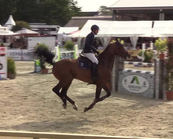 Reitturnier Hörup 2019
