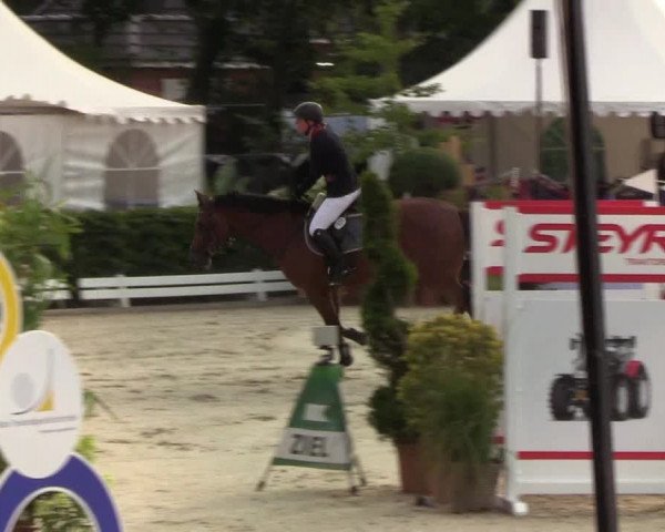 Reitturnier Hörup 2019