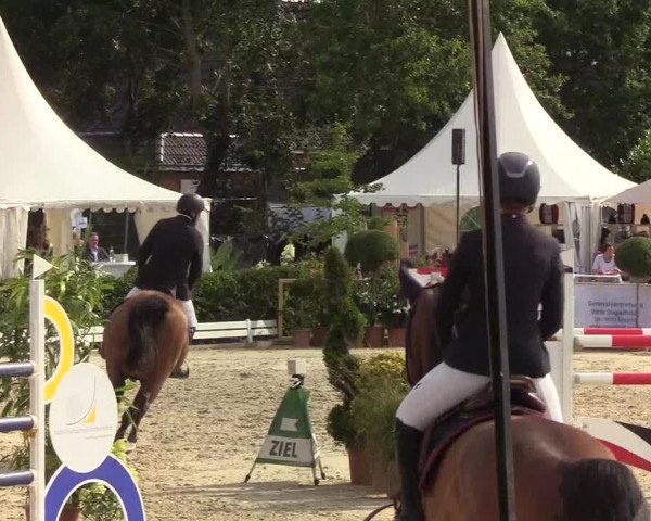 Reitturnier Hörup 2019