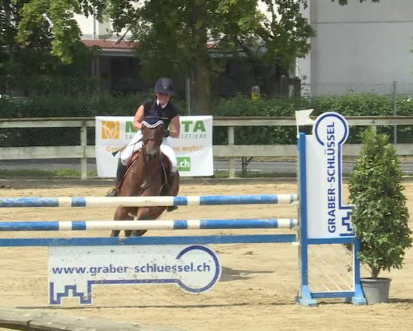 Reitturnier Dagmersellen 2019