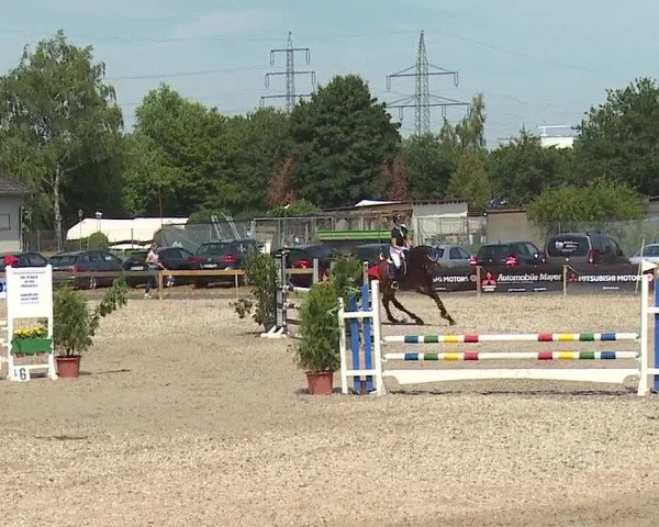 Reitturnier Kleinostheim/Ufr. 2019
