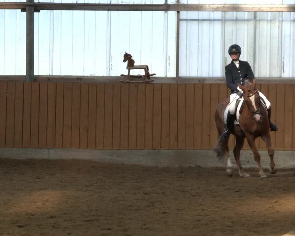 Reitturnier Herbern 2019